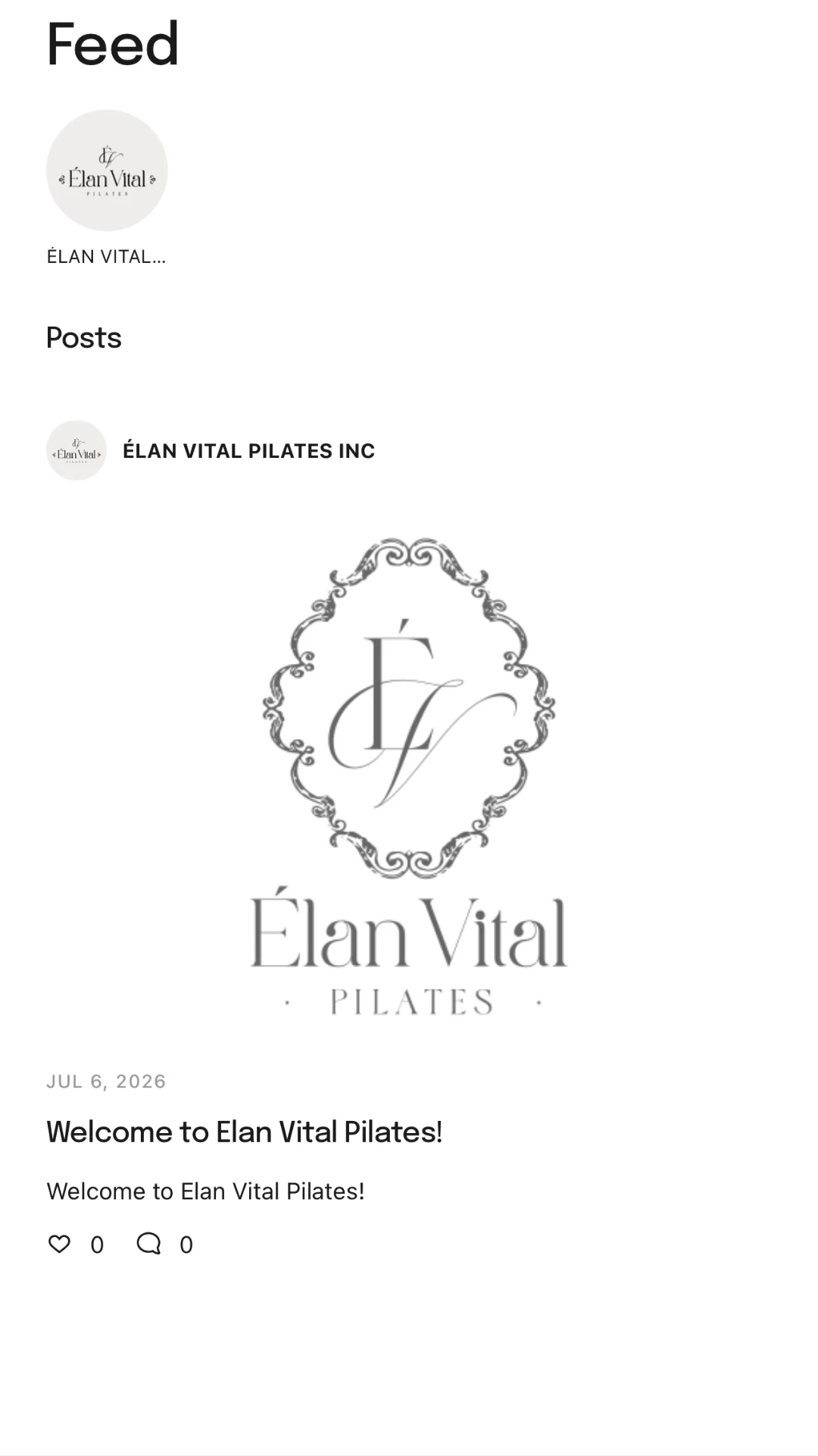 Élan Vital Pilates screenshot
